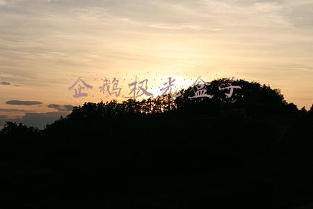 企鹅极光盒子