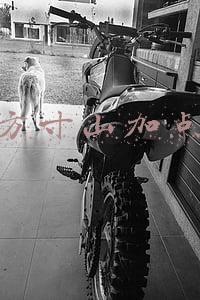 方寸山加点