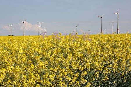 苹果7参数