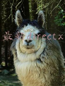最新狄仁杰电影(《狄仁杰之恢诡赤目》定档 丧尸王国席卷而来狄仁杰智破奇案)
