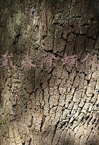 戴森除螨仪充不进去电(买之前觉得是智商税，买完以后才发现用得很顺手)