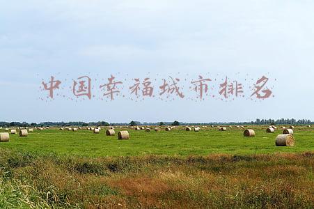 中国10大幸福城市(连续13年高居中国最具幸福感城市榜之首，3000年城名不变，巴适)