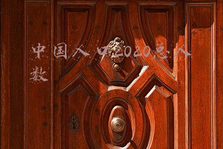 中国人口2020总人数