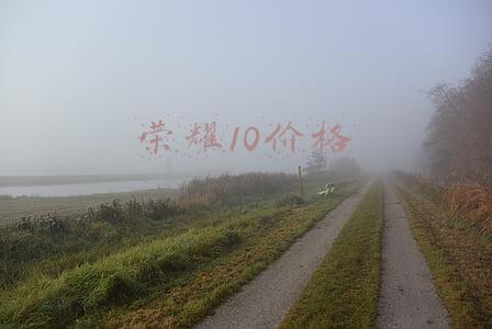 荣耀10价格