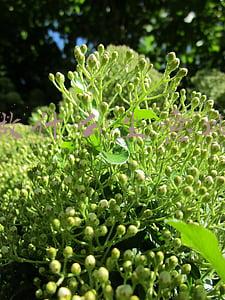 现在做什么生意挣钱比较稳定(成本低收入稳定的生意推荐什么好？)