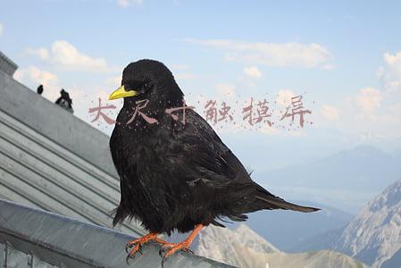 大尺寸触摸屏显示器(随心触控，优派TD2230触摸显示器上手体验：比iPad更香)
