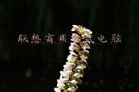 联想商用台式电脑750(联想威6 2020款评测：一款年轻范儿十足的商务本)