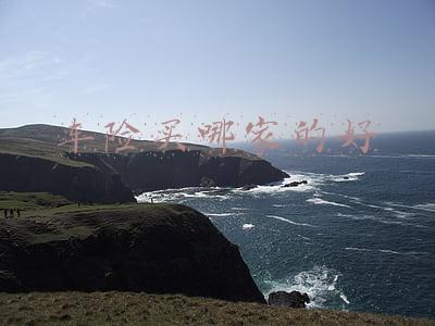 车险买什么保险公司的最好(汽车保险该怎么买？这几款喵哥强烈推荐，买了让你省心省事)
