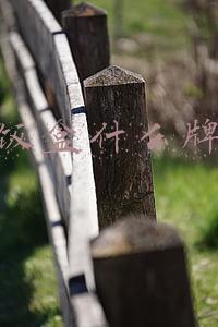 国产保温饭盒什么牌子好(上班族们选对便当盒了吗？2021十大保温饭盒品牌TOP排行榜)