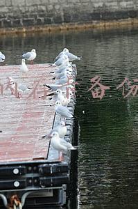 内存卡备份