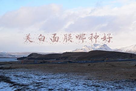 美白面膜哪种好