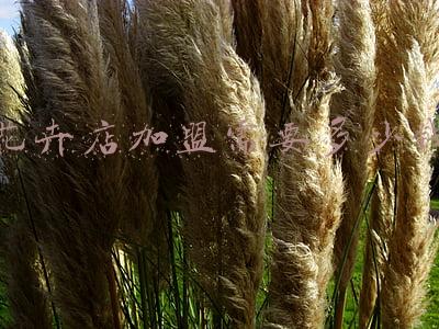 花卉店投资多少钱 想投资，开个花店。得多少钱呢？
