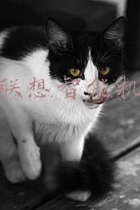 联想智能机