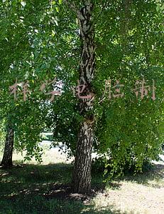 怎样学电脑制表