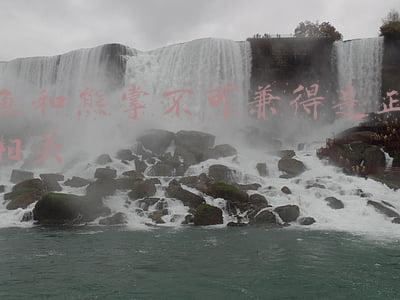 鱼和熊掌不可兼得是正相关
