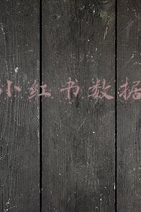 小红书数据维护(小红书入门操作手册：如何用图？有哪些雷区？这里有8点经验技巧)