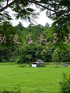 现在开动漫店怎么样 动漫店目前前景怎么样?