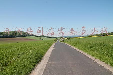 学寿司去哪里比较专业？（寿司一般多少钱一个呀）