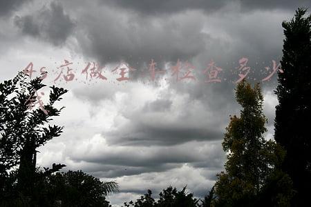 4s店做全车检查多少钱