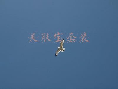 美肤宝套装