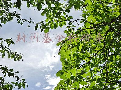 封闭基金折价率雪球(近期多只封闭式基金遭遇大幅折价 折价比例整体处于9折甚至更低水平)