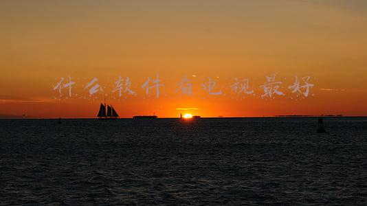 什么软件看电视最好