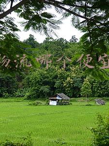 物流哪个便宜