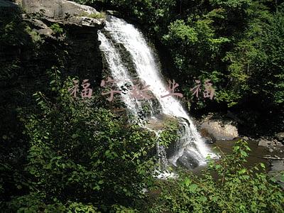 福字敬业福