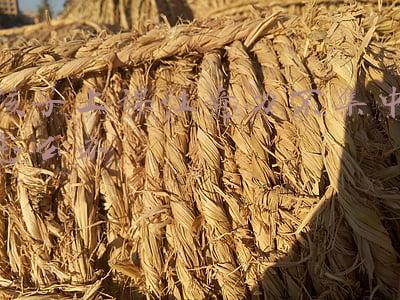 帮助孩子集中注意力(孩子注意力不集中？5个方法6个游戏，帮你有效提高孩子注意力)