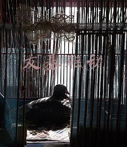 友基驱动官网(友基科技助力创意产业，推动行业发展)