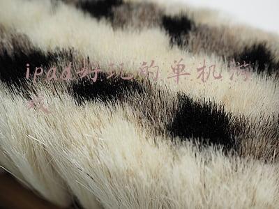 ipad好玩的单机游戏排行(《饥饿鲨·世界》评测：IOS游戏排名第一，让人耳目一新)