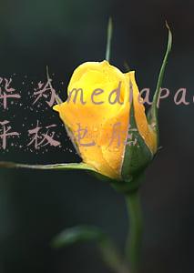 华为mediapad平板电脑