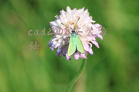 cad2008安装方法