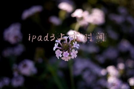 ipad3上市时间