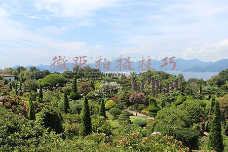 微距拍摄技巧