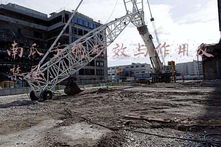 南瓜子的功效与作用及禁忌是什么(常吃南瓜子有什么坏处？听听药师怎么说)