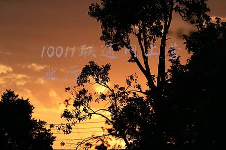 10010联通网上营业厅官网(下载APP才能办业务，中国联通德州多家营业厅这一操作咋回事？)