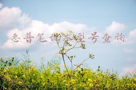 惠普笔记本序列号查询官网(HP电脑使用System Diagnostics查看硬件信息)