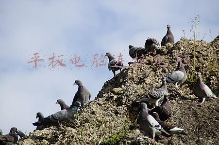 平板电脑连接电脑