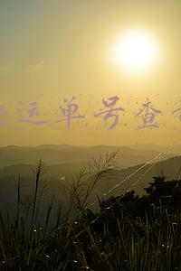 韵达快运单号查询跟踪