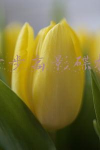 步步高影碟机