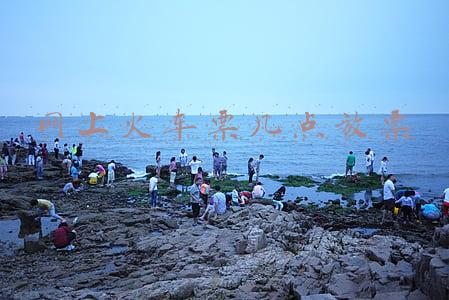 网上火车票几点放票