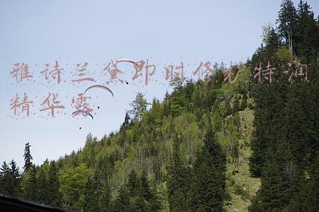 雅诗兰黛即时修护特润精华露