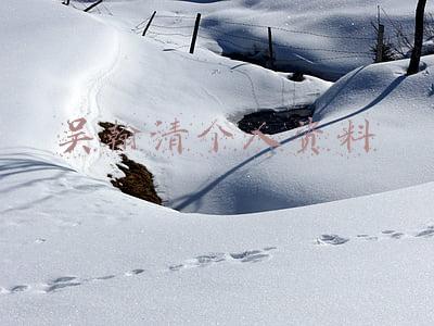 吴翰清个人资料