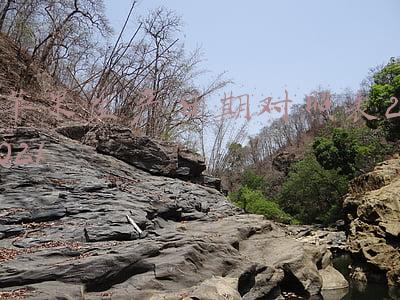 苹果生产日期对照表2017(早上金苹果，中午银苹果，晚上毒苹果？真相来了)