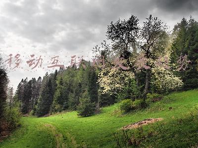 移动互联网发展趋势