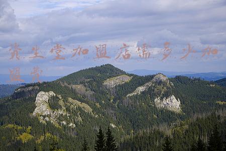 资生堂化妆品的中国代理商是哪家公司?（资生堂代理商）