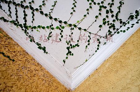 网站建设的费用