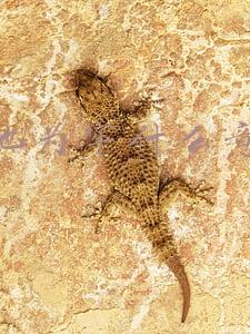 作茧自缚画地为牢什么意思(词汇中的古代风俗：“画地为牢”原来是形容刑律宽松)