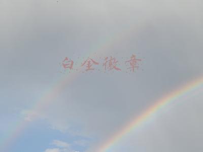 白金徽章怎么取下来(DNF：多余的春节皮肤别着急分解 用这种方法处理可以得白金徽章！)